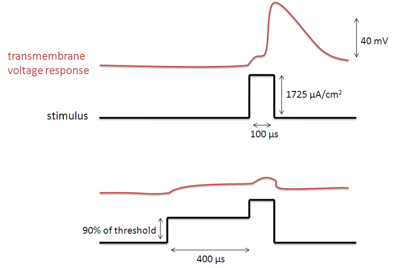 File:Depolarizing Prepulse.PNG