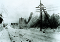 Power lines after an ice storm