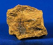 Limonite, or hydrated iron oxide, is the basic ingredient of the earth pigments ochre, sienna and umber.