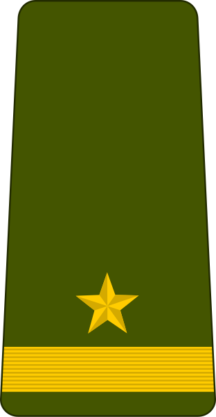 File:Mauritania-Army-OR-9.svg