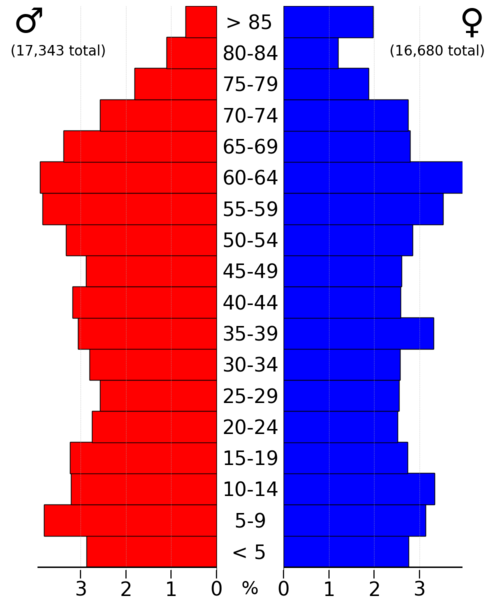 File:MorrisonLacsCountyMn2022PopPyr.png