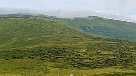 View from the south of Mullaghcleevaun