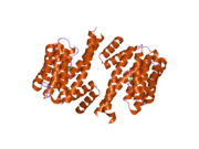 1ywt: Crystal structure of the human sigma isoform of 14-3-3 in complex with a mode-1 phosphopeptide