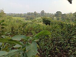 Pakur Wilderness area