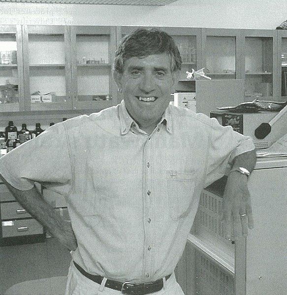 File:Paul Callaghan 2001.jpg