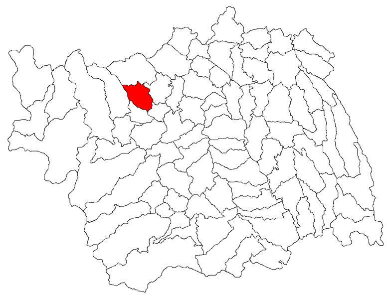 File:Solont jud Bacau.png