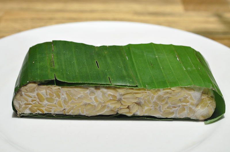 File:Tempeh 001.jpg