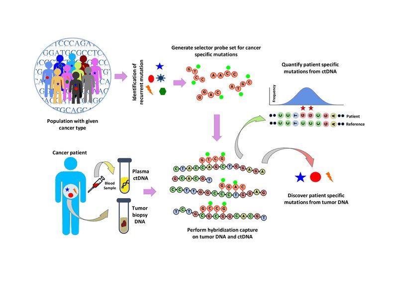 File:Wiki figure updated5.pdf