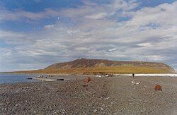 View of Cape Schmidt