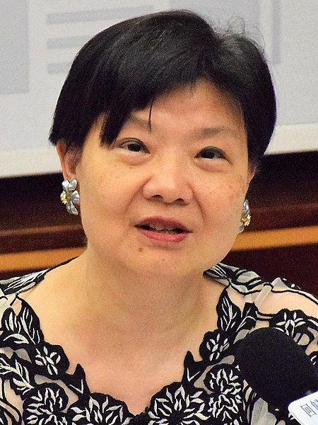 File:香港民主黨公佈首份文件回應本土思潮1 (cropped).jpg