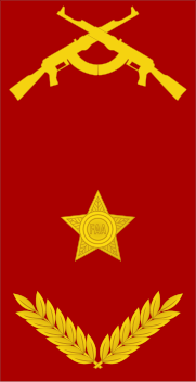 File:Angola-Army-OF-7.svg