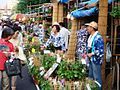 The Iriya Morning Glory Market, Tokyo (2008)