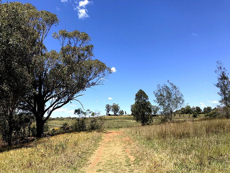 File:Cumberlain Plain Woodland2.jpg