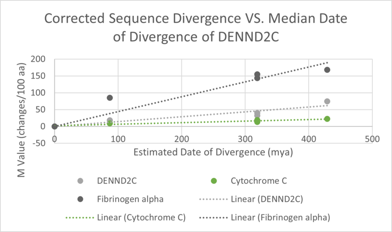 File:DENND2C Evolution Graph.png