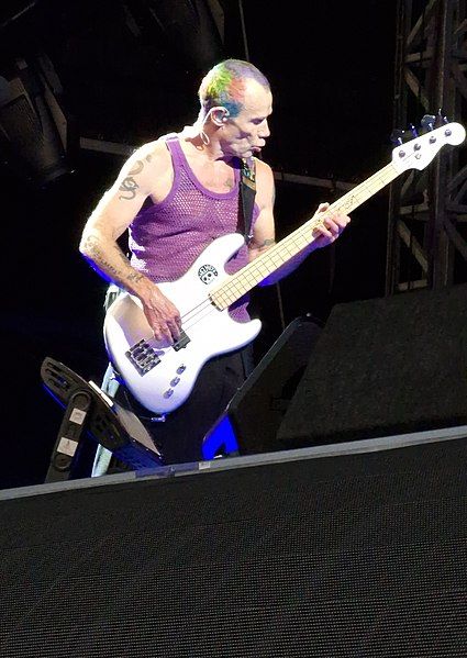 File:Flea (52278932071).jpg