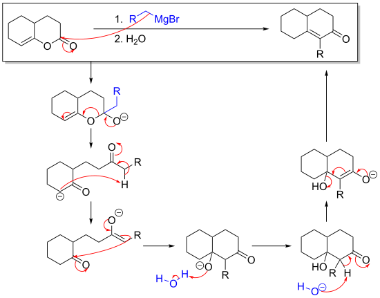 mechanism of the reaction