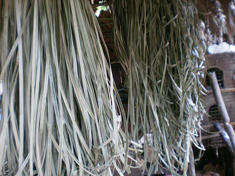 File:Karagumoy strips.jpg