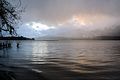 Lake Quinault and rainforest in the mist