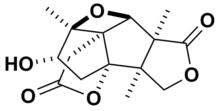 Skeletal structure of merrilactone A