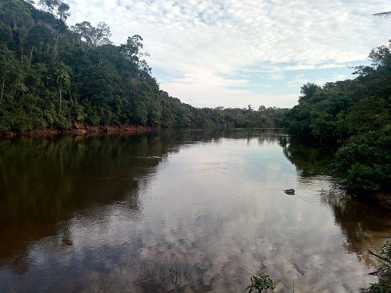 File:Rio Curuá-Una.jpg