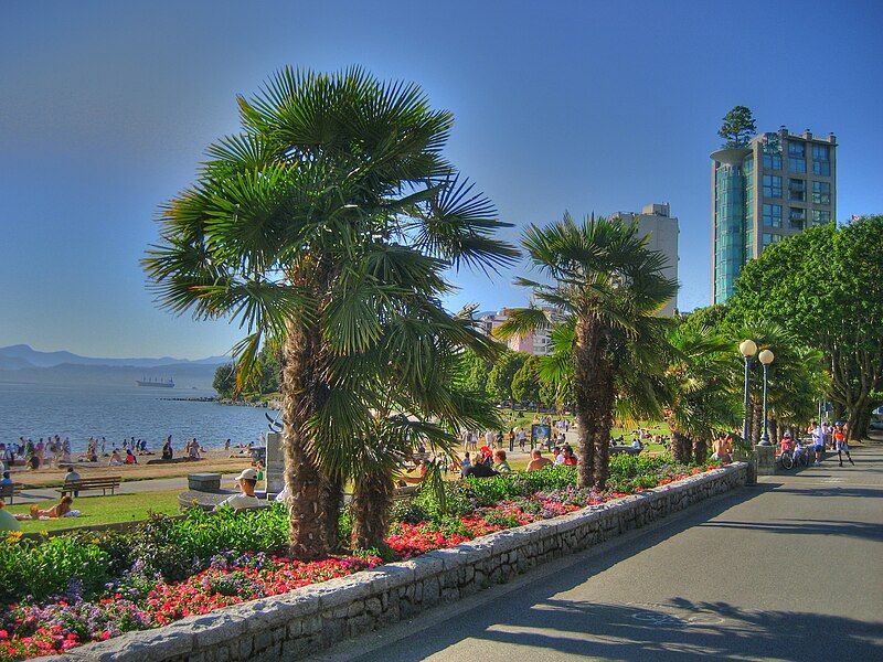 File:Vancouver palms englishbay.jpg