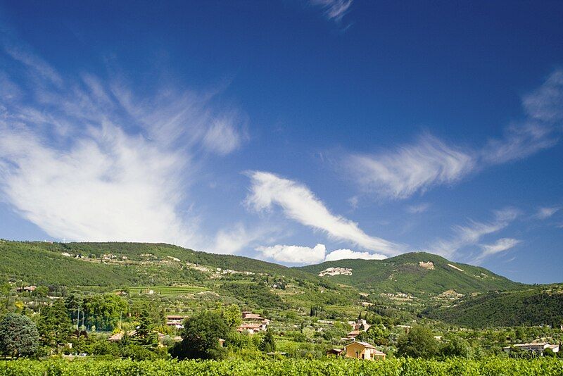 File:Vineyards in Valpolicella.jpg