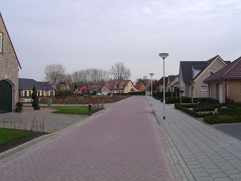 File:Vlasbloem.jpg