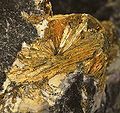 Wakabayashilite: Arsenosulphide of Arsenic and Antimony: expanse of radiating, acicular, golden crystals