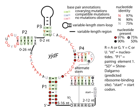 File:YjdF-RNA.svg