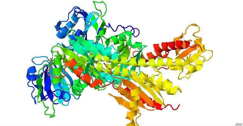 File:3G6O.pdb.jpg