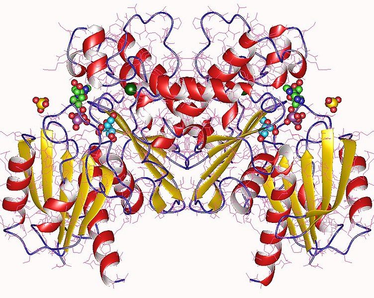 File:3lm9.jpg