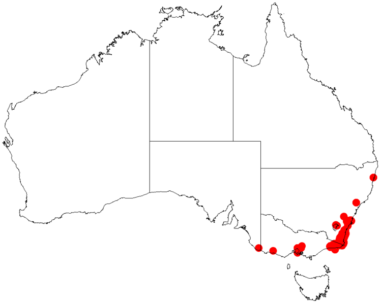 File:Acacia cognataDistMap200.png