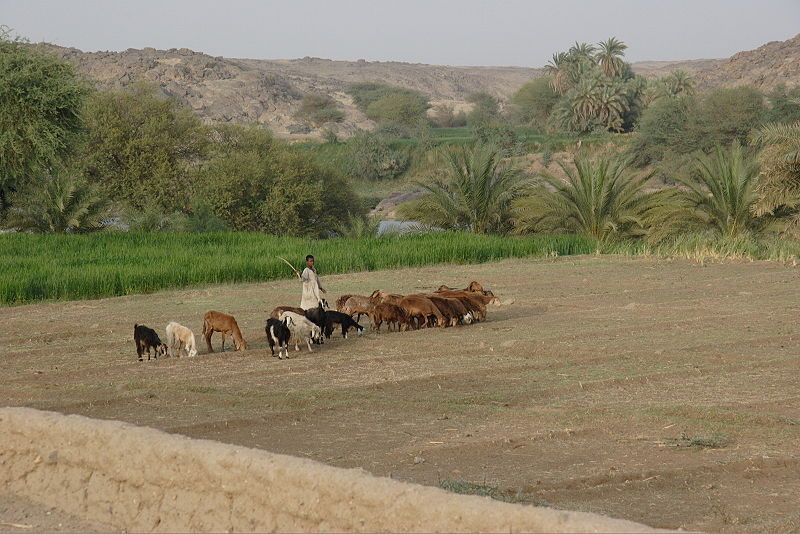 File:Ashu land.JPG