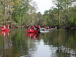 Blackwater River, Virginia