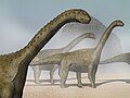 Camarasaurus, North America