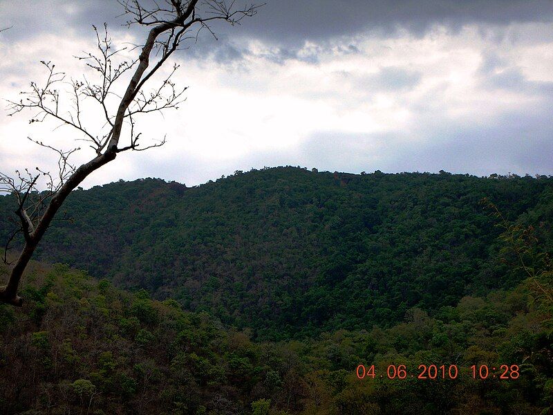 File:Gandhamardan Mountains.JPG