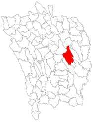 Location in Vaslui County