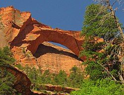 View of Kolob Arch