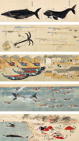 File:Kujirakata-Shosha-Zue-Genuine-illustrations-of-Taiji-Whaling-Techniques-1857.png