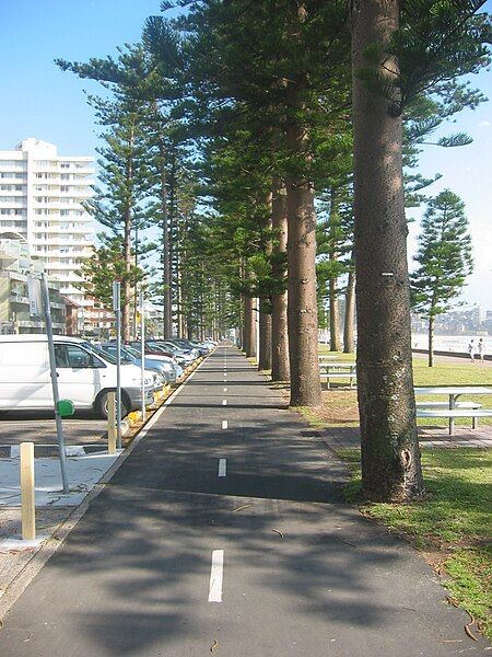 File:Manly Beach cyclepath.jpg