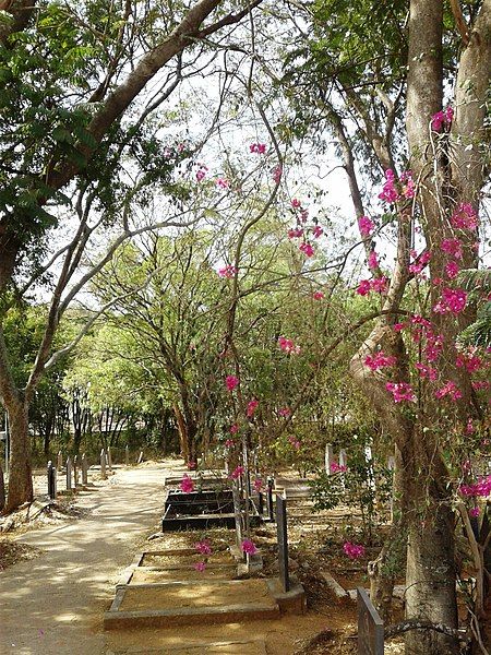 File:Muslim Cemetry, Chamarajanagar.jpg