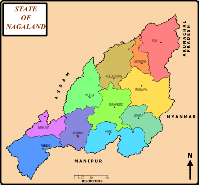 File:Nagalandmap.png