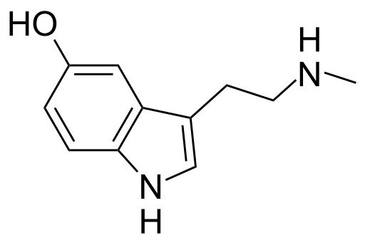 File:Norbufotenine.svg