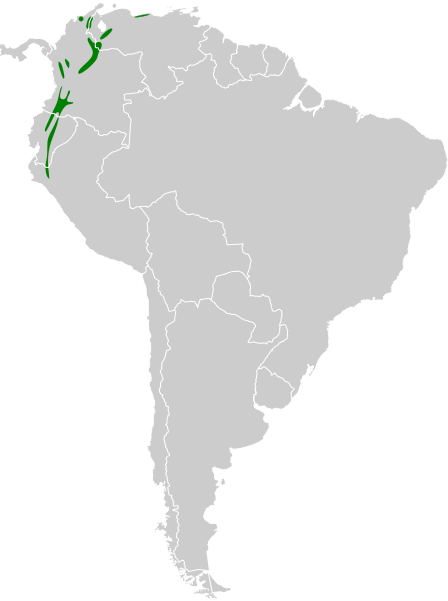 File:Ochthoeca diadema map.svg