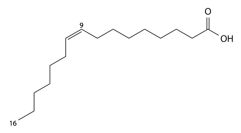 File:Palmitoleic acid1.svg