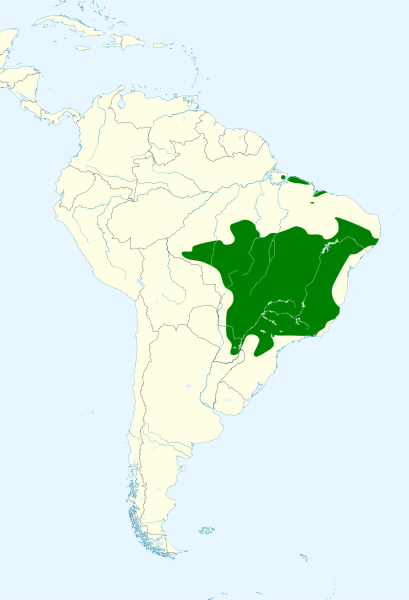 File:Primolius maracana map.svg