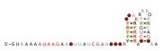 RAGATH-30 Secondary structure taken from the Rfam database. Family RF03055