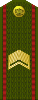 File:Russia-Army-OR-8-1994-field.svg