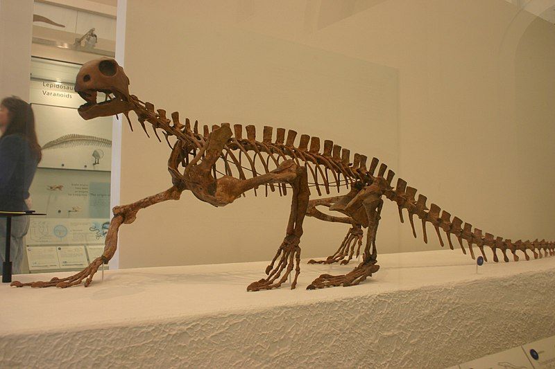 File:Trilophosaurus (1).jpg