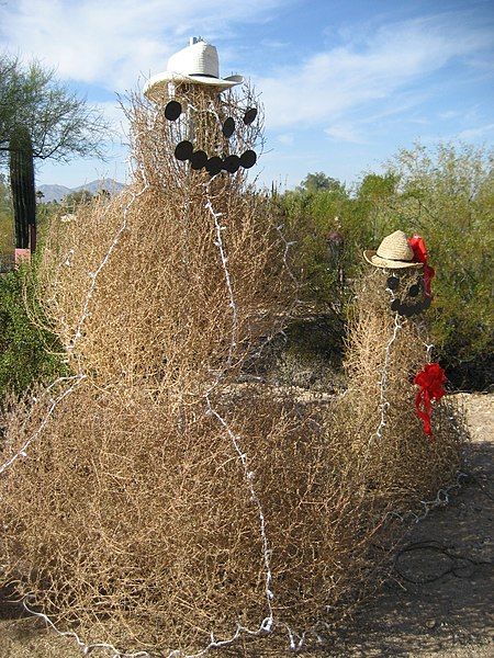 File:Tumbleweed snowmen.jpg